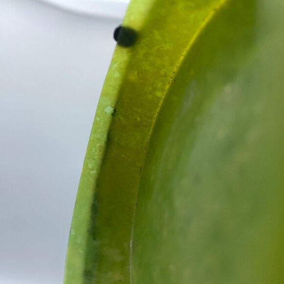 1920s Art Deco Celluloid Compact—Green Marbleized Powder Case with Beveled—GUC - Picture 2 of 9